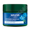 WELEDA Lift. den. kr.  Mod. hoec-Prot alp. BIO 40ml